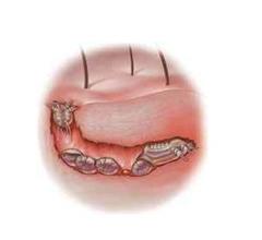 �괯�����ô���ƺ�